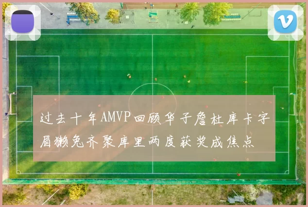过去十年AMVP回顾华子詹杜库卡字眉獭兔齐聚库里两度获奖成焦点